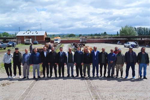 Kaymakamımız Bayram Öncesinde Kurban Pazarını İnceledi